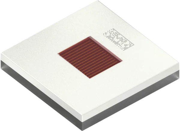 CULPM1 